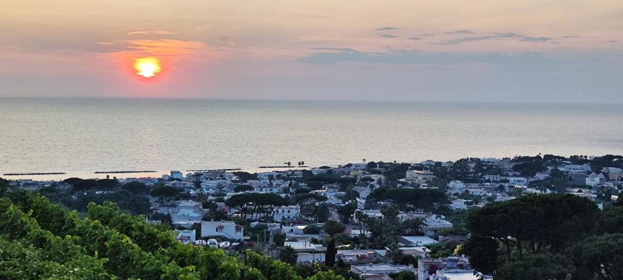 Villa Antonietta Ischia Exterior foto